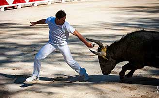 Raseteur danseur