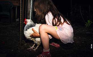La poule
