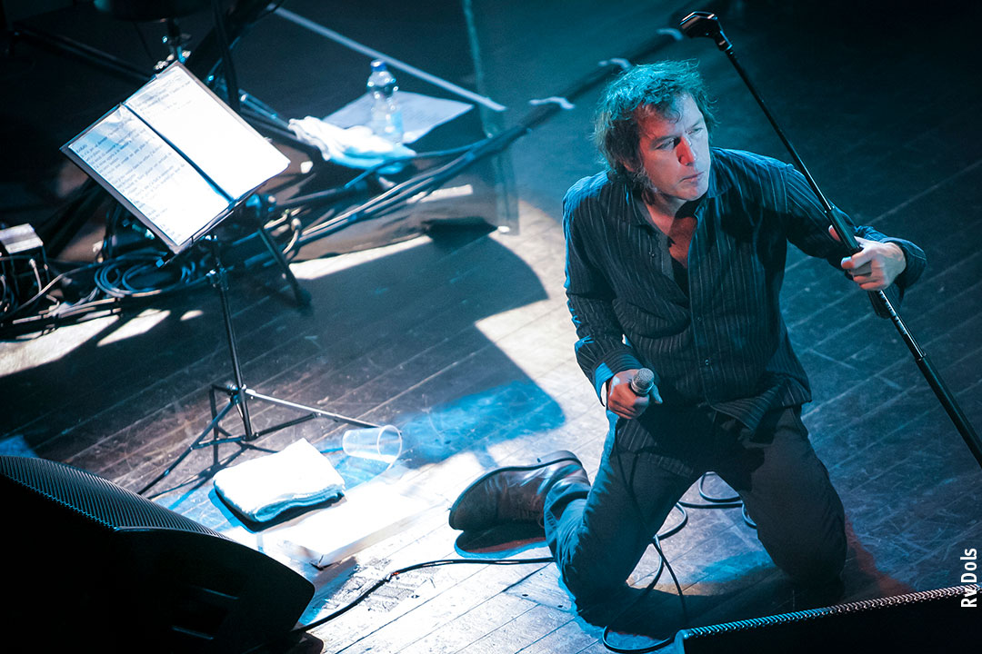 Christophe Miossec auteur, compositeur, interprète Brest france.