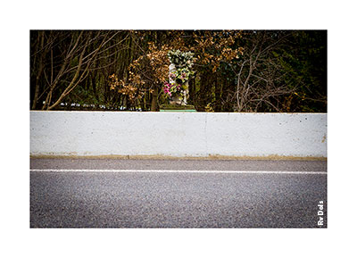 Un mur blanc et un bouquet.