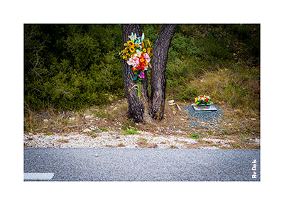 Le bouquet l'arbre et la tombe.