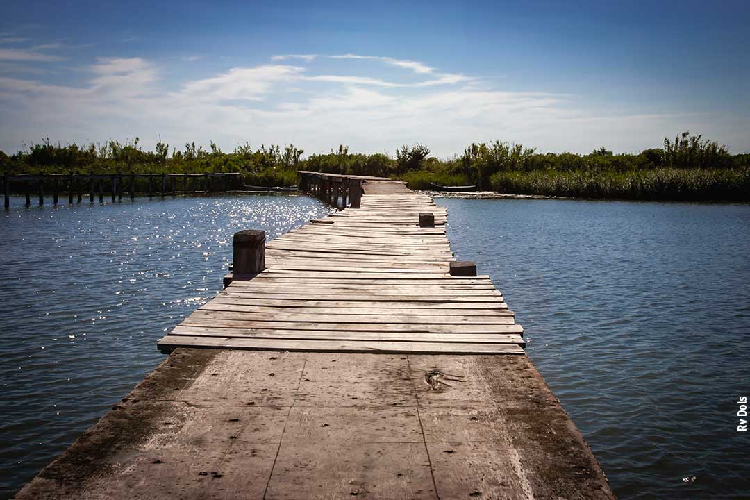 Un ponton sur le Rhône.