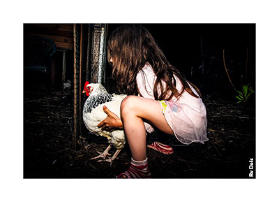 L'enfant et la poule.
