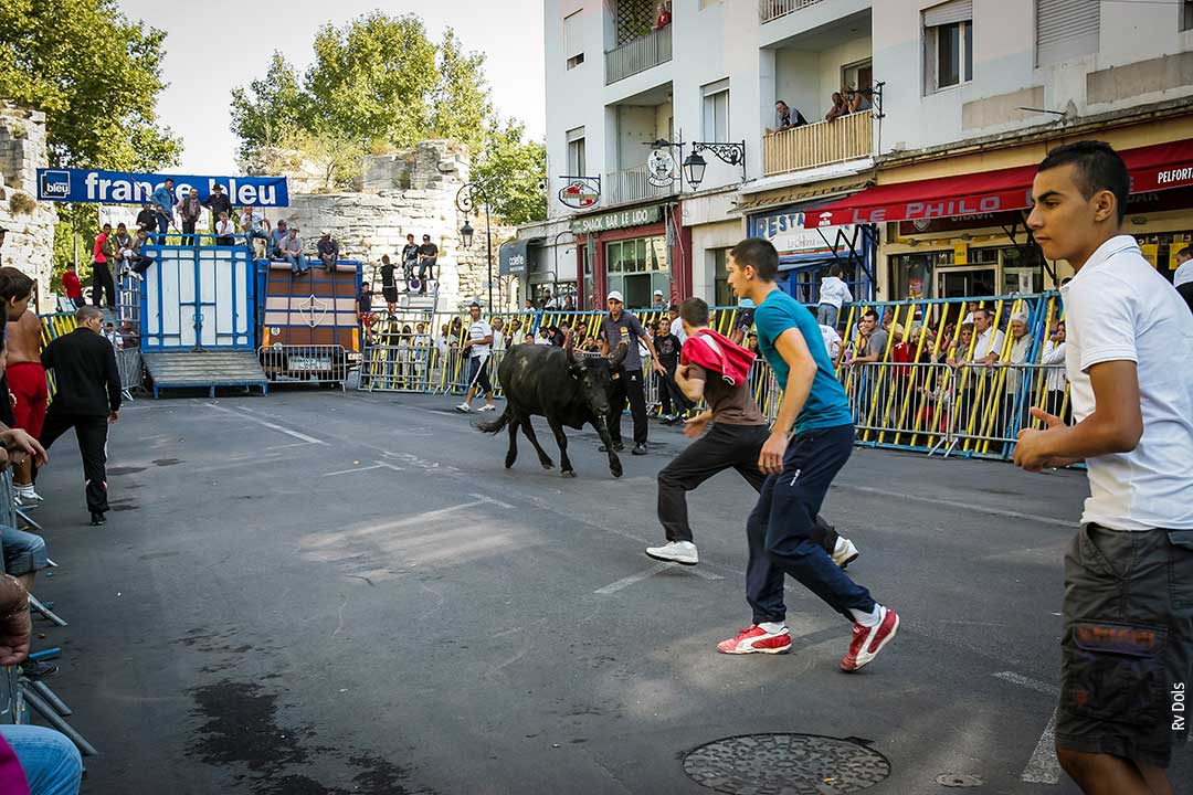 Le lâché de taureau est précédé d’une explosion qui permet aux spectateurs de se mettre à l’abri derrière les barrières.