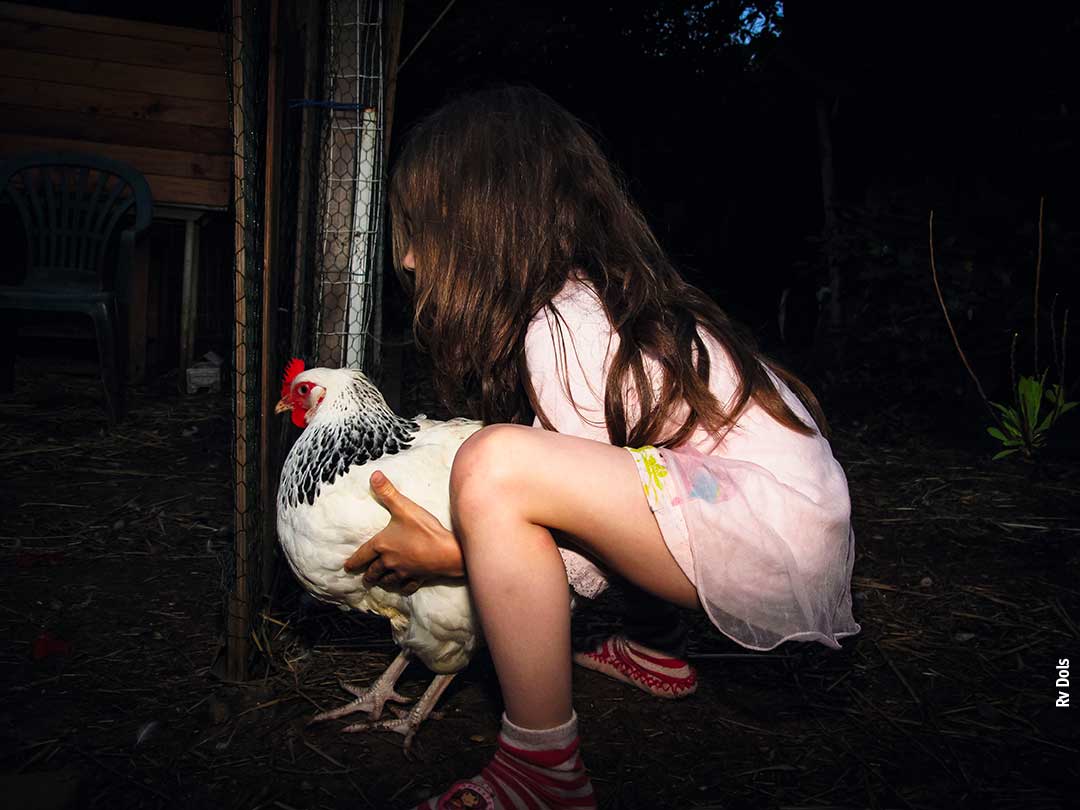 La poule.