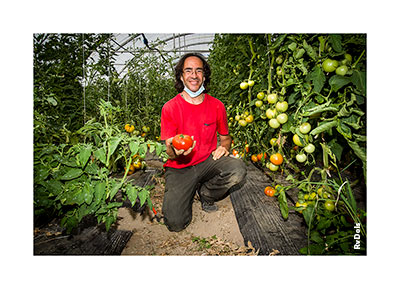 L'homme à la tomate.