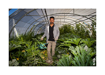 Un agriculteur dans une serres.