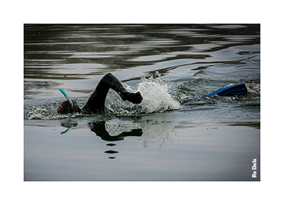 Un plongeur dans l'eau.