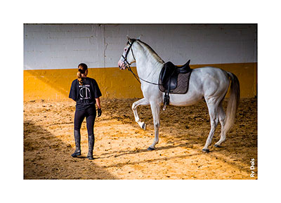 Entrainement du cheval.
