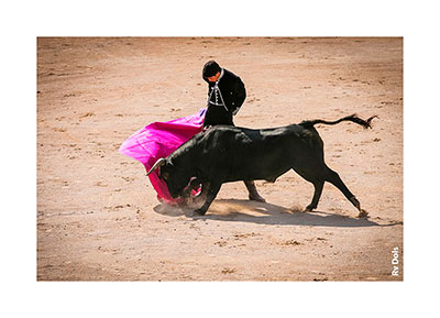 Corridas pendant la féria d'Arles.