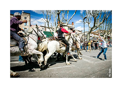 Un homme devant les chevaux à Arles.