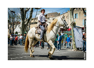 Gardian et son cheval.