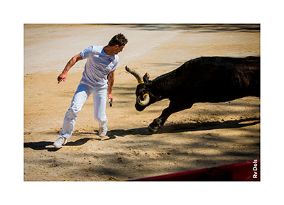 Raseteur dans les Arènes d'Arles.