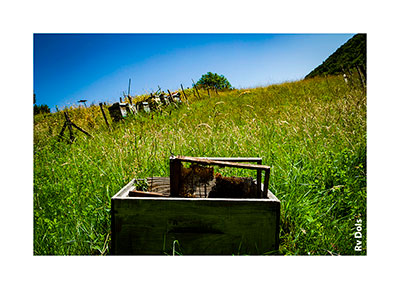 Les ruches de la ferme bio.